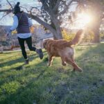 Sjov motion med hund