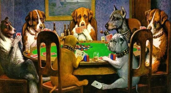 Hunde der spiller poker